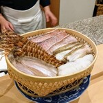 勢麟 - 甘鯛、車海老、鱚、アオリイカ、穴子