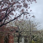 おたる宏楽園 - 