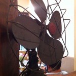 南珈琲店 - 店内にはレトロなインテリアがいっぱい☆