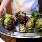 ウシマル - アンティーチョーク