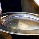 ウシマル - 鱧。