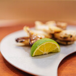 いしまる - "大溝貝（おほみぞがひ）"、酢橘（すだち）