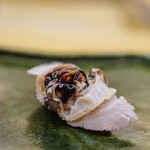 いしまる - "斧文蛤（ぢはまぐり）"