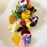 プレゼンテ スギ - Sugi畑をお皿に載せて