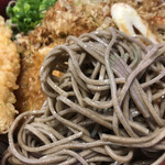 秋田ふるさと館 - 肝心のお蕎麦はこんな感じです