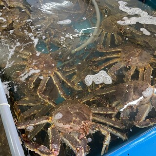 大阪でおすすめの美味しいかに 蟹 をご紹介 食べログ