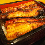 八べえ - 無加温鰻（地焼き専用）1匹