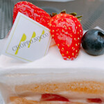 チョッポノッコ - 