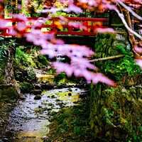 うかい鳥山 - 