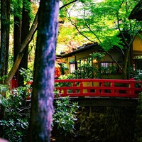 うかい鳥山 - 
