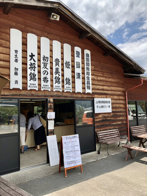 上山観光フルーツ園・山形チェリーランド（カミノヤマカンコウフルーツエン・ヤマガタチェリーランド） - かみのやま温泉（その他）の写真