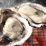 Live Oyster delivered directly from Sanriku (1 piece)