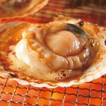 Sanriku direct delivery live scallops (1 piece)