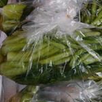 시라이시 세이카텐