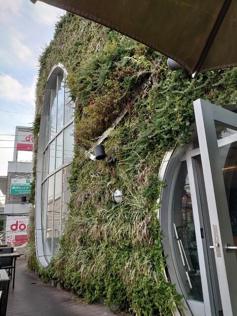 駒沢食堂 George ジョージ 駒沢大学 イタリアン ネット予約可 食べログ