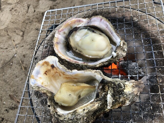 豊浜 魚ひろば 南知多町その他 その他 食べログ