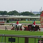 鳥千 - 誘導馬♪