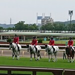鳥千 - 馬は綺麗だなぁ(*´ω｀*)