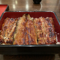 新宿 うなぎ菊川 - 