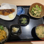 札幌駅北口酒場 めしと純米 - 生ウニ丼定食