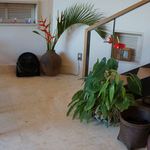 海坐 - 食事場は広めの空間の中に、アクセントの緑が良く映えます。