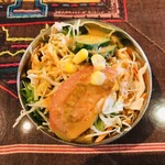 インド料理夢タージマハール吉祥寺 - サラダ