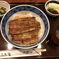 ぎんざ 神田川 - 鰻大丼