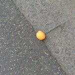 自家製麺 No11 - なんだこれ？