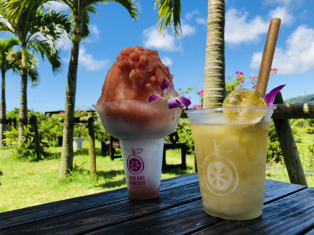 光楽園 ひかりらくえん 石垣市 カフェ 食べログ