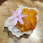 ラ・ヴァガボンド - 雲丹