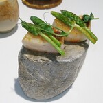 ラ・ヴァガボンド - 帆立