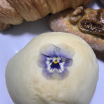 まっしゅ京都 - 