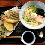 Teuchi Udon Jiyuuseki - 季節の天ぷら盛り合わせ ぶっかけうどん (冷)