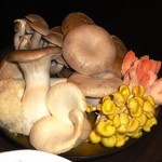 魚の家 - キノコの森