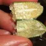 魚の家 本店 - フィンガー！！