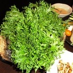 魚の家 - 瑞々しい