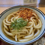 Ayagawa Udon - 赤ネギぶっかけが良かったなぁ〜(ŏ﹏ŏ。)