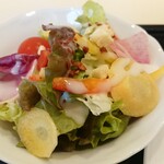 Restaurant Snovit - 彩りサラダにサッパリドレッシングなのも嬉しい。