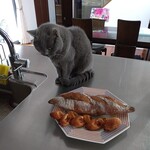 CALVA - ふむふむ by 伝次郎