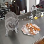 CALVA - キッチンに乗り移った直後の伝次郎