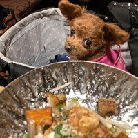 南青山エッセンス - くるみ