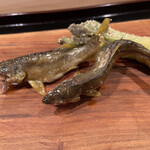 津の守坂 小柴 - 