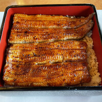 鰻割烹 伊豆栄 本店 - 鰻重(梅)5,500円