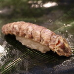 にぎり鮨 一五〇 - シャコ