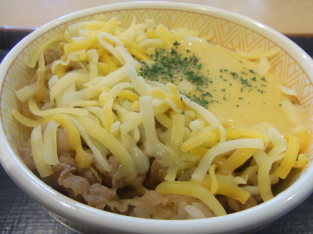 すき家のココウォーク店 By 小林マン すき家 みらい長崎ココウォーク店 茂里町 牛丼 食べログ