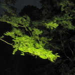 奥湯河原　秀邑 - 夜の露天からの眺め