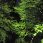 奥湯河原　秀邑 - 夜の露天からの眺め