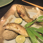 奥湯河原　秀邑 - 焼き物