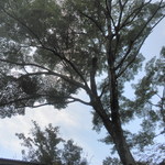 奥湯河原　秀邑 - 朝の露天からの眺め