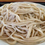 うどんのこいけや - 田舎汁うどん普通盛り(500g)730円